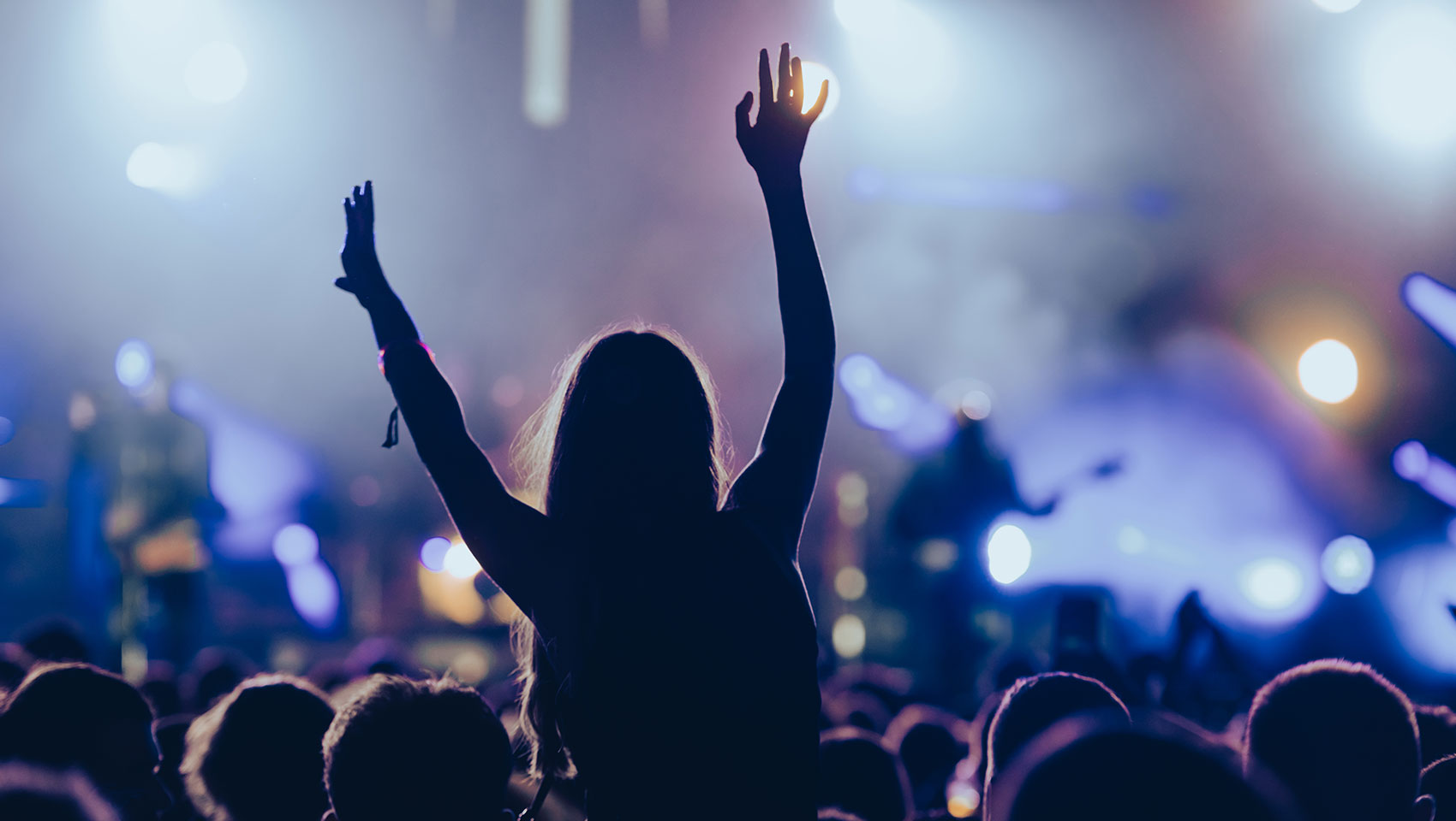 Girl on shoulders at a concert